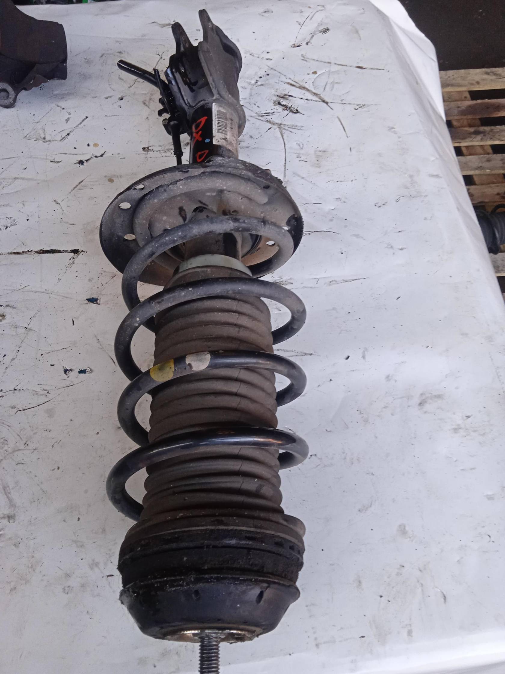 Ammortizzatore ant. dx.